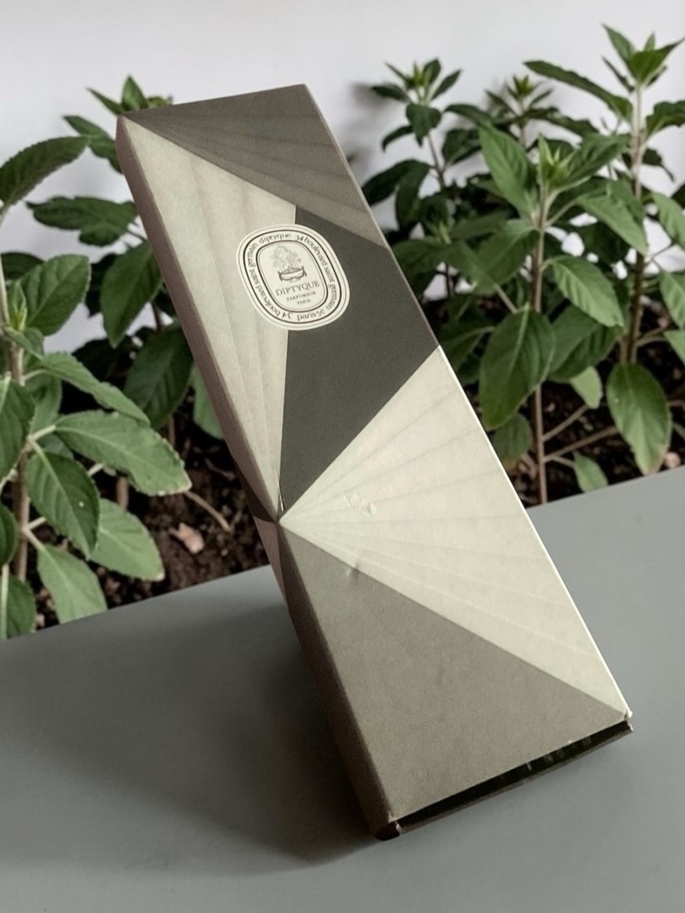 Diptyque Paris Fragrance Matchbook Sticks